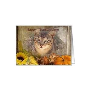  Happy Thanksgiving   Tabby Cat Card Health & Personal 