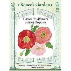  Poppy   Shirley Seeds Patio, Lawn & Garden