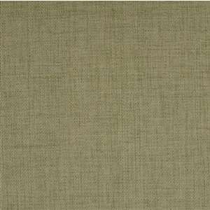  11210 Sage by Greenhouse Design Fabric