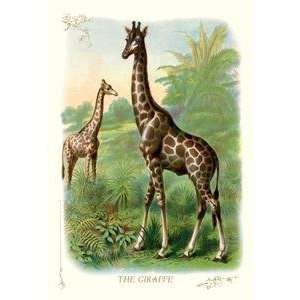  Vintage Art Giraffe   11202 6