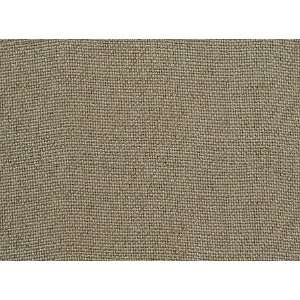  1658 Esen in Flax by Pindler Fabric