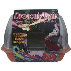  Dunecraft Dragons Lair Toys & Games