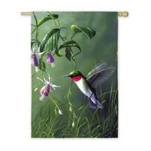  BANNER HUMMINGBIRD