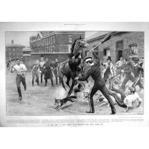  1905 FOX HUNT BARRACKS YARD HORSE DOGS SOLDIERS WAR