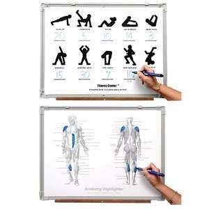  Fitness Center/Anatomy Highlighter (EA)