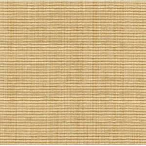  31110 16 by Kravet Smart Fabric