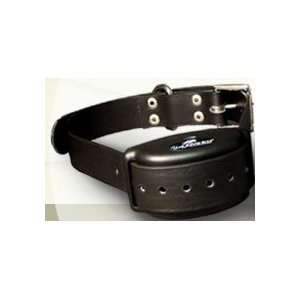  Wireless Dog Training Collar for Active and Sensitive Dogs 