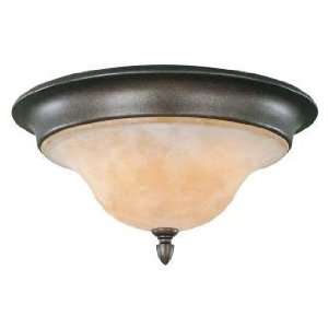  Romana Collection 15 Wide ENERGY STAR® Ceiling Light 