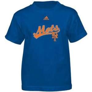  New York Mets YOUTH New Script T Shirt   Large Sports 