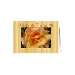  36th Birthday, Peachy rose on stripes Card Toys & Games