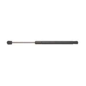  Strong Arm 4069 Trunk Lid Lift Support Automotive