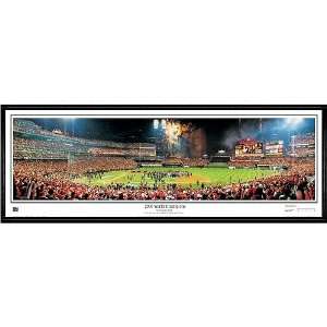  Everlasting Images St. Lois Cardinals 2006 World Champions 