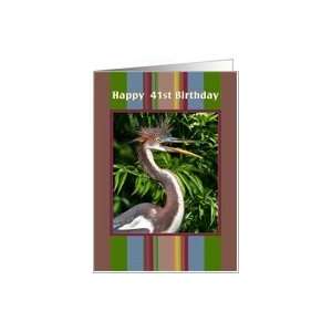  41st Birthday Card with Tricolored Herons Card Toys 