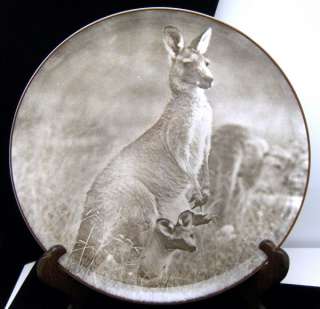 Royal Doulton Plate Mother Kangaroo Joey Photograph  