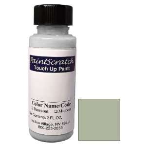  2 Oz. Bottle of Yellowish Silver Metallic Touch Up Paint 