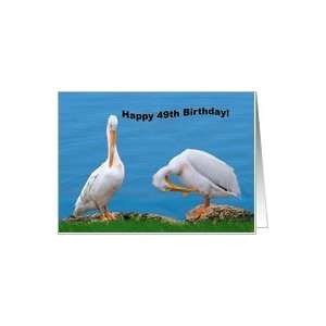  49th Birthday Card with Itching Pelicans Card Toys 