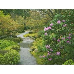  Japanese Garden at the Washington Park Arboretum, Seattle 