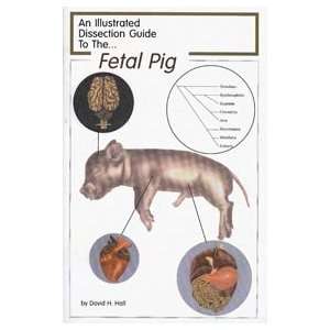  Dissection Guide to the Fetal Pig 