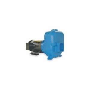  GOULDS 30SPH30 Centrifugal Pump,Self Priming,3 HP