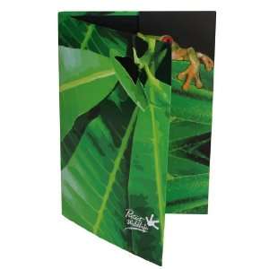  OBon Wildlife Frog Folders. 4 Pack