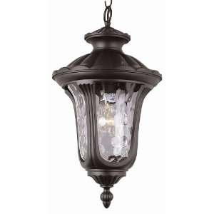  5914 BK Transglobe New American Collection lighting