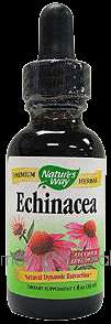 Echinacea Alcohol Free 1 oz by Natures Way 033674146361  