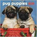 2011 Pug Puppies Mini Wall BrownTrout Publishers