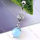 1pc Dolphin Wrap Blue Plastic Ball 14G Stainless Steel Navel Ring 