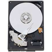   Blue WD2500AAKX 250GB SATA3 7200rpm 16MB Hard Drive(3.5 inch), Bulk