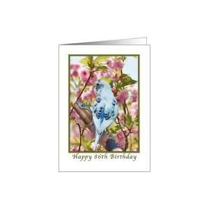  86th Birthday, Blue Parakeet and Flowers Card Toys 