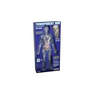  Transparent Man Model 