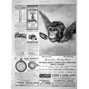   1894 Advertisement BrookeS Monkey Brand Soap Bennett