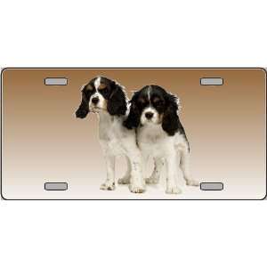  Cavalier King Charles Spaniel Dog Pet Novelty License 