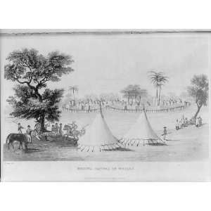  Medina,Captiol of Wooli,1825,Western Africa Travels