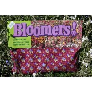  Baby Bloomers Brand Wildflower Seed Mixture Kitchen 
