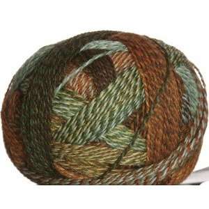  Schoppel Wolle Yarn   Zauberball Crazy Yarn   1660 