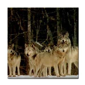  Wolf pack Ceramic Tile Coaster Great Gift Idea Office 