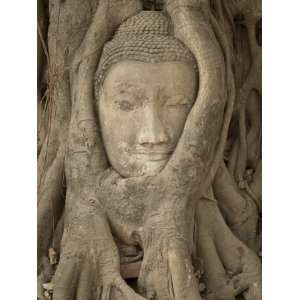  Wat Maha That, Ayutthaya, Ayutthaya Province, Thailand 