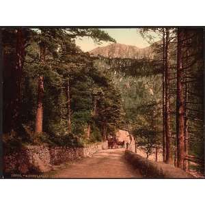   Photochrom Reprint of View I, Aberglaslyn Pass, Wales