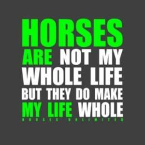  Horses Make My Life Whole T Shirt Medium