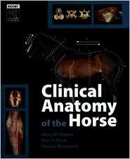   the Horse, (072343302X), Hilary M. Clayton, Textbooks   