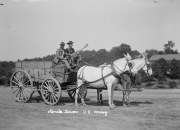 early 1900s photo U.S. Army mule team & wagon  