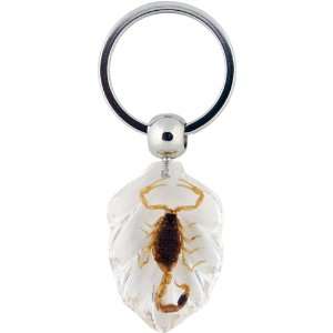  Amber / Clear Acrylic with Embedded Real Scorpion Key Ring 