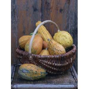 Still Life of a Small Number of Yellow Gourds in a Rustic Wicker 
