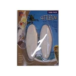  Carded Double Small Cuttlebone