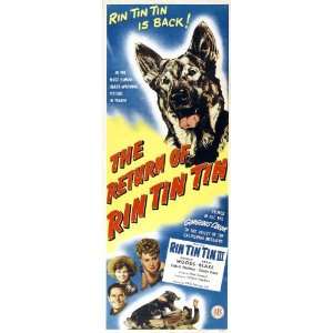  Tin Tin Poster Movie Insert 14 x 36 Inches   36cm x 92cm Rin Tin Tin 