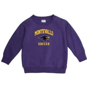   Toddler Soccer Arch Crewneck Sweatshirt 