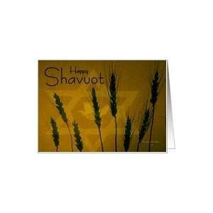  Happy Shavuot / Wheat with Star of David & dove Card 