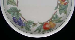 Epoch WHOLESOME 2 Dinner Plates EXCELLENT CONDITION  