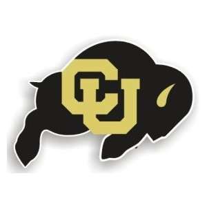  Colorado Buffaloes 12 Car Magnet